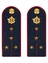 Погоны ФСИН на куртку ПЛАСТИК, звание Капитан 14х5,5см