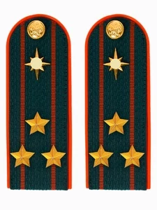 Погоны МЧС на куртку 14х5см ПЛАСТИК (в сборе) укомплектованные с фурнитурой звание Полковник