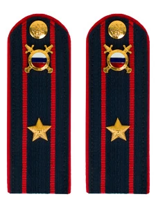 Погоны МВД внутренняя служба на куртку темно-синие картон звание Майор 14см