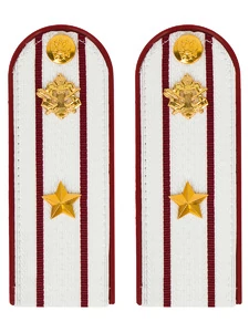 Погоны ФСИН на рубашку ПЛАСТИК, звание Майор цвет Белый 14х5 см