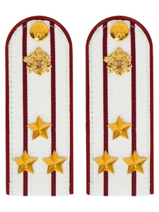 Погоны ФСИН на рубашку ПЛАСТИК цвет белый, звание Полковник 14х5 см