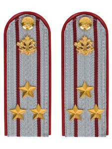 Погоны ФСИН на рубашку пластик, звание Полковник цвет серый 14х5 см