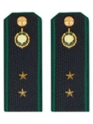 Погоны Пограничной службы ПС ФСБ в сборе картон на куртку звание Прапорщик