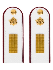 Погоны ФСИН на рубашку Старшина цвет белый 14х5 см