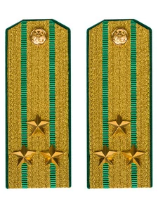 Погоны Пограничной службы ПС ФСБ службы в сборе картон Полковник золотые