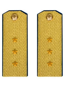 Погоны парадные ФСБ золотые картон Старший Прапорщик