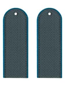 Погоны ФССП для рядовых картон серые