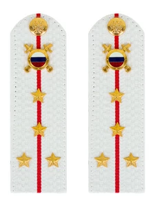 Погоны МВД внутренняя служба на рубашку белые ПЛАСТИК Звание Капитан 13,5см