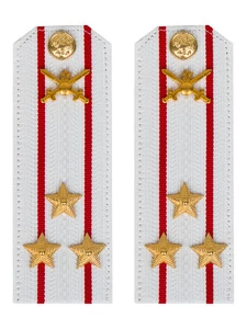 Погоны МО Сухопутные войска белые звание Полковник Картон