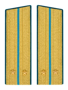 Погоны ВДВ, ВКС, ВВС парадные золотые с фурнитурой Скос на Китель звание Лейтенант