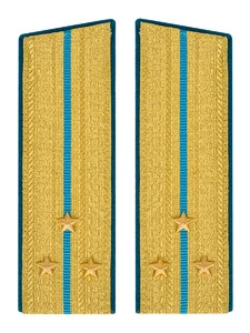 Погоны ВДВ, ВКС, ВВС парадные золотые с фурнитурой Скос на Китель звание Старший Лейтенант
