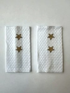 Фальш погоны Полиции нового образца БЕЛЫЕ звание Прапорщик 9х5 см