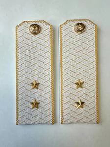 Погоны Таможенной службы белые картон звание Прапорщик