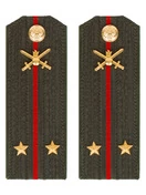 Погоны МО Сухопутные войска зеленые звание Лейтенант Пластик