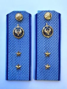 Погоны ФСБ голубые на рубашку, звание Прапорщик 14см ПЛАСТИК