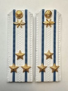 Погоны ВКС ВВС с фурнитурой белые Полковник КАРТОН