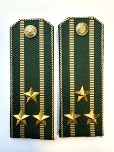 Погоны Таможенной службы на китель темно-зеленые картон звание Полковник