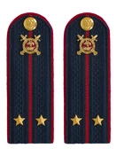 Погоны Полиции картон (в сборе) укомплектованные с фурнитурой темно-синие (Лейтенант) 12 см