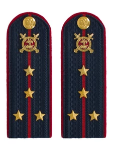 Погоны Полиции картон (в сборе) укомплектованные с фурнитурой темно-синие Капитан 12 см