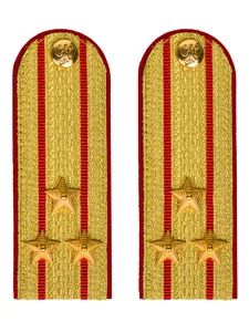 Погоны МВД парадные звание Полковник цвет золотой 12см