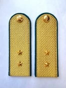 Погоны ФССП парадные золотые с фурнитурой звание Прапорщик Картон