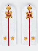 Погоны Полиции на рубашку белые 13 см звание лейтенант Картон