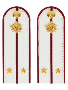 Погоны ФСИН на рубашку ПЛАСТИК, звание Лейтенант Цвет Белый14х5,5см