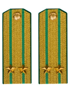 Погоны Пограничной службы в сборе картон Подполковник золотые