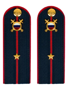 Погоны МВД внутренняя служба на куртку темно-синие картон звание Младший лейтенант 13см