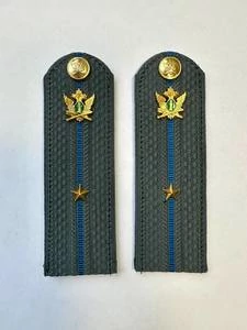 Погоны ФССП с фурнитурой серые звание Младший Лейтенант картон 14х4,5см