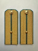 Погоны ВДВ, ВКС, ВВС парадные золотые с фурнитурой на Китель звание Младший Лейтенант Картон