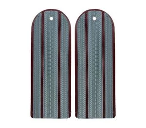 Погоны ФСИН повседневные на рубашку 2 просвета галун 14х5см картон