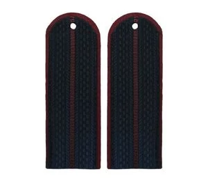 Погоны ФСИН повседневные на куртку, 1 просвет галун, картон 14х5 см