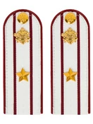 Погоны ФСИН на рубашку ПЛАСТИК, звание Майор цвет Белый 14х5 см