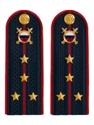 Погоны МВД внутренняя служба на куртку темно-синие ПЛАСТИК звание Капитан