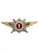 Значок классность Росгвардии 1 класс