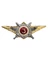 Знак классность Росгвардии 3 класс