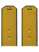 Погоны парадные ВМФ Мичман цвет золотой