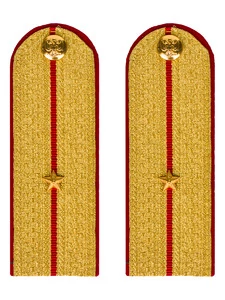 Погоны МВД парадные звание Младший Лейтенант цвет золотой