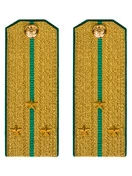 Погоны ПС ФСБ в сборе картон Старший Лейтенант золотые