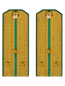 Погоны ПС ФСБ в сборе картон Старший Лейтенант золотые