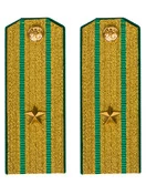 Погоны Пограничной службы ПС ФСБ в сборе картон Майор золотые