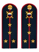 Погоны МВД внутренняя служба на куртку темно-синие картон звание Капитан 13 см