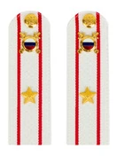 Погоны МВД внутренняя служба на рубашку белые ПЛАСТИК Звание Майор 13,5см