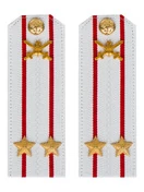 Погоны МО Сухопутные войска белые звание Подполковник Картон