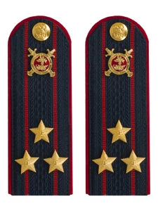 Погоны Полиции картон темно-синие Полковник 13 см