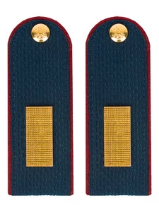 Погоны Полиции на Китель синие КАРТОН Звание Старшина Пришивные