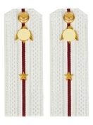 Погоны Росгвардии ФСВНГ на рубашку белые 14х5 см Картон звание Младший Лейтенант