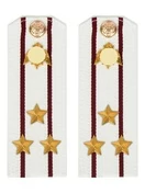 Погоны Росгвардии ФСВНГ на рубашку белые 14х5 см Картон звание Полковник