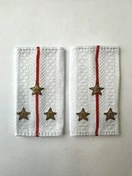 Фальш погоны Полиции нового образца БЕЛЫЕ звание Старший лейтенант 9х5 см